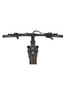 Horský Elektrobicykel Ecobike SX300 Green