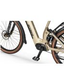 Elektrobicykel Ecobike Flex Titan