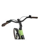 Dámsky Elektrobicykel Ecobike LX 100 Green