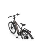 Mestský Elektrobicykel Ecobike MX 300 Golden Grey