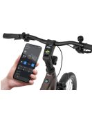 Mestský Elektrobicykel Ecobike MX 300 Golden Grey
