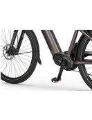 Mestský Elektrobicykel Ecobike MX 300 Golden Grey