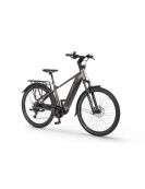 Mestský Elektrobicykel Ecobike MX 300 Golden Grey