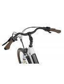 Dámsky Elektrobicykel Ecobike X-City Flat White