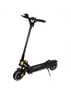 DUALTRON MINI SPECIAL, black LG 21Ah