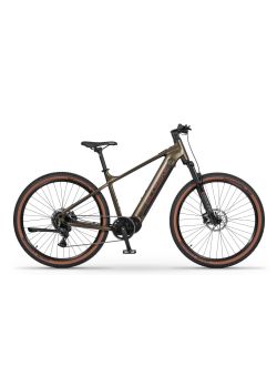 Horský Elektrobicykel Ecobike SX300 Green