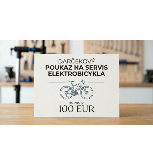 Gift Voucher For E-bike Maintenance