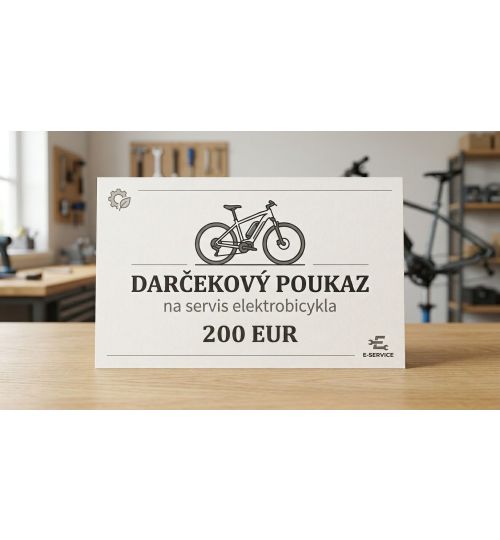 Gift Voucher For E-bike Maintenance